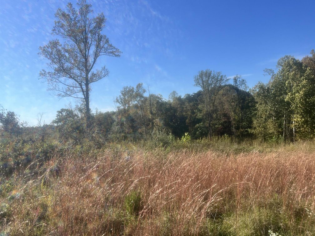 Image for 53 Acre Farm with 3 Bedroom Ranch Home in Red House
