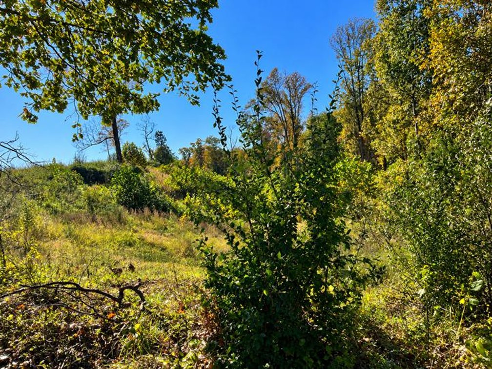 Image for 53 Acre Farm with 3 Bedroom Ranch Home in Red House