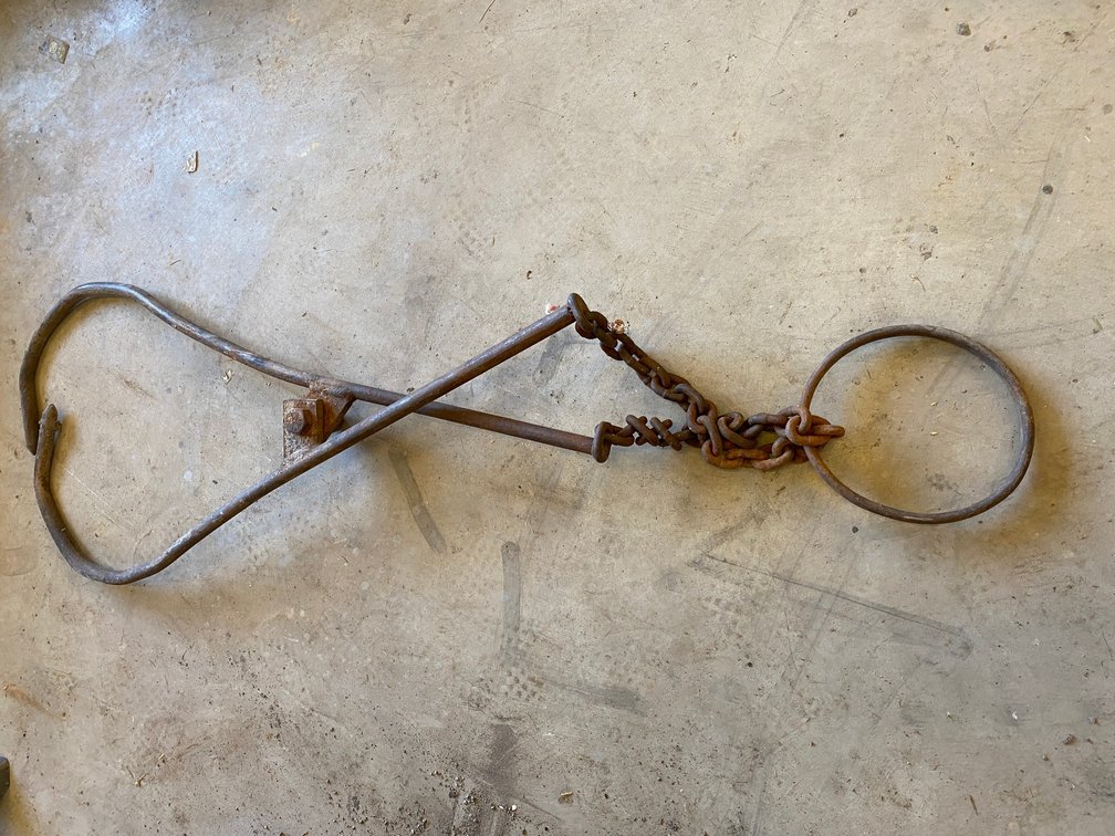 Logging tongs