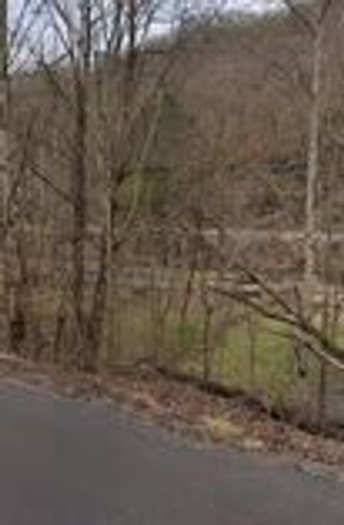 Subject Nine: Worthington Road- Davy, WV