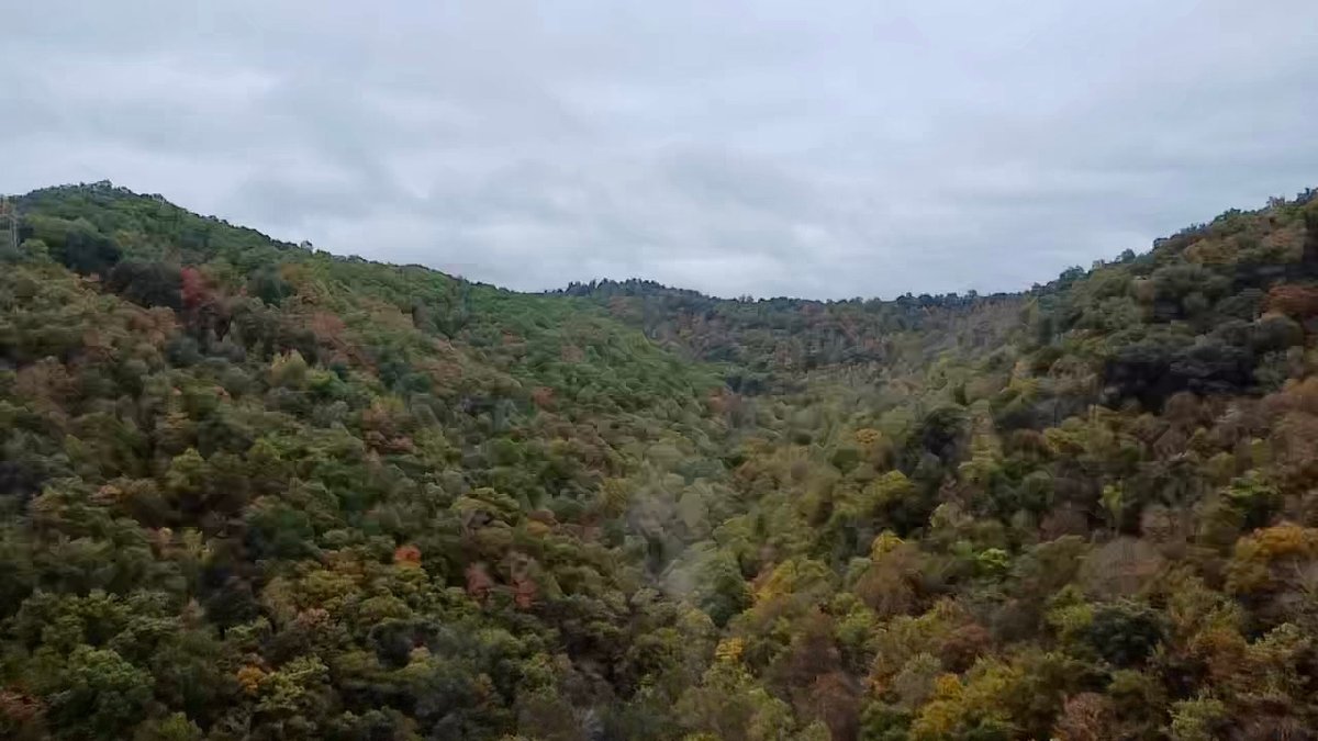 Image for 119.98 Surveyed Acres in Boone County Selling to the Highest Bidder