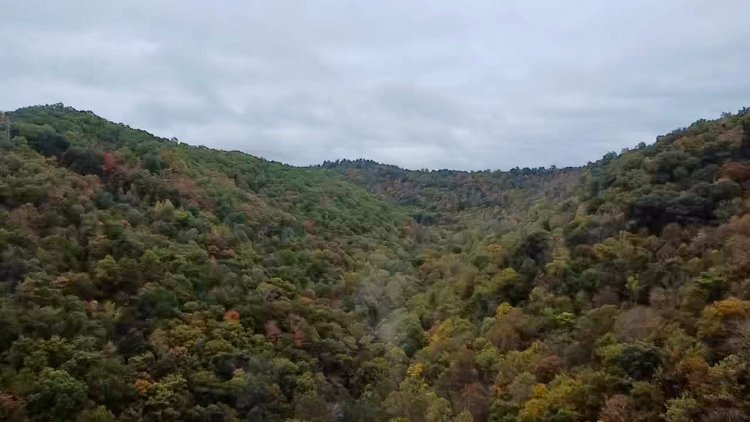 Image for 119.98 Surveyed Acres in Boone County Selling to the Highest Bidder