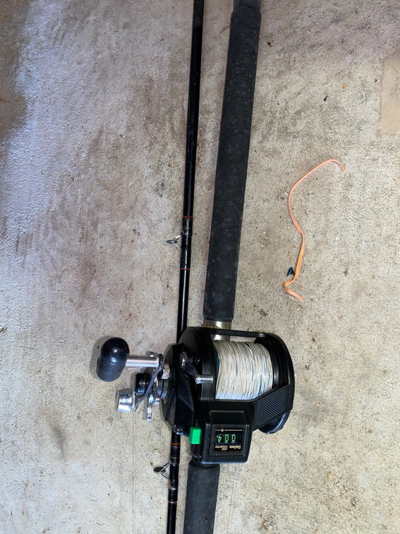 Daiwa Fishing Rod and Reel