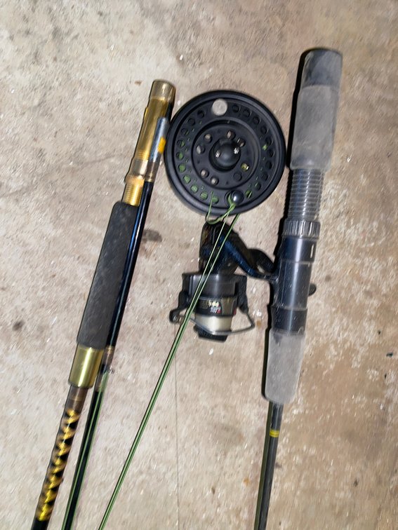 Spinning Reel, Fly Reel, and Fishing Rod Sections