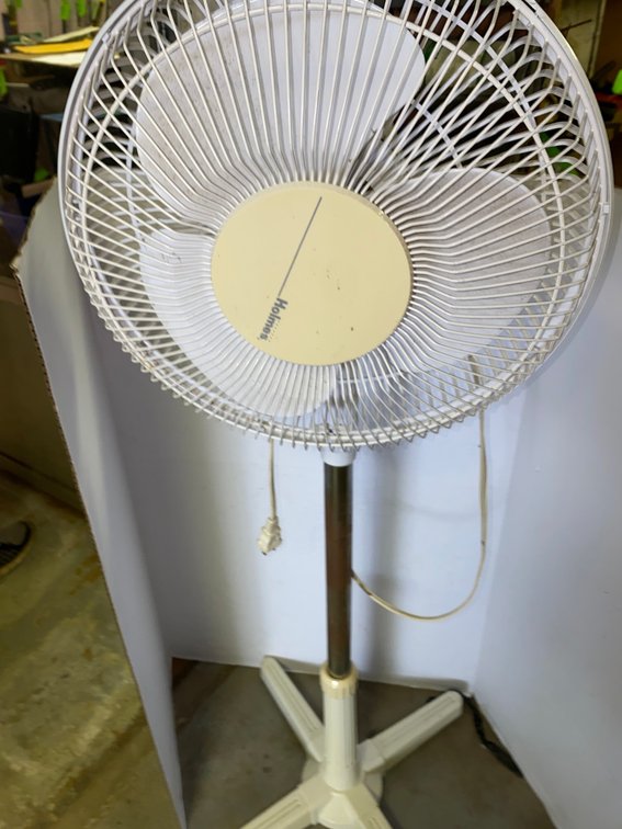 Holmes Pedestal Fan