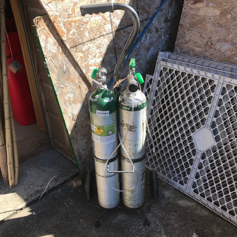 Oxygen cart