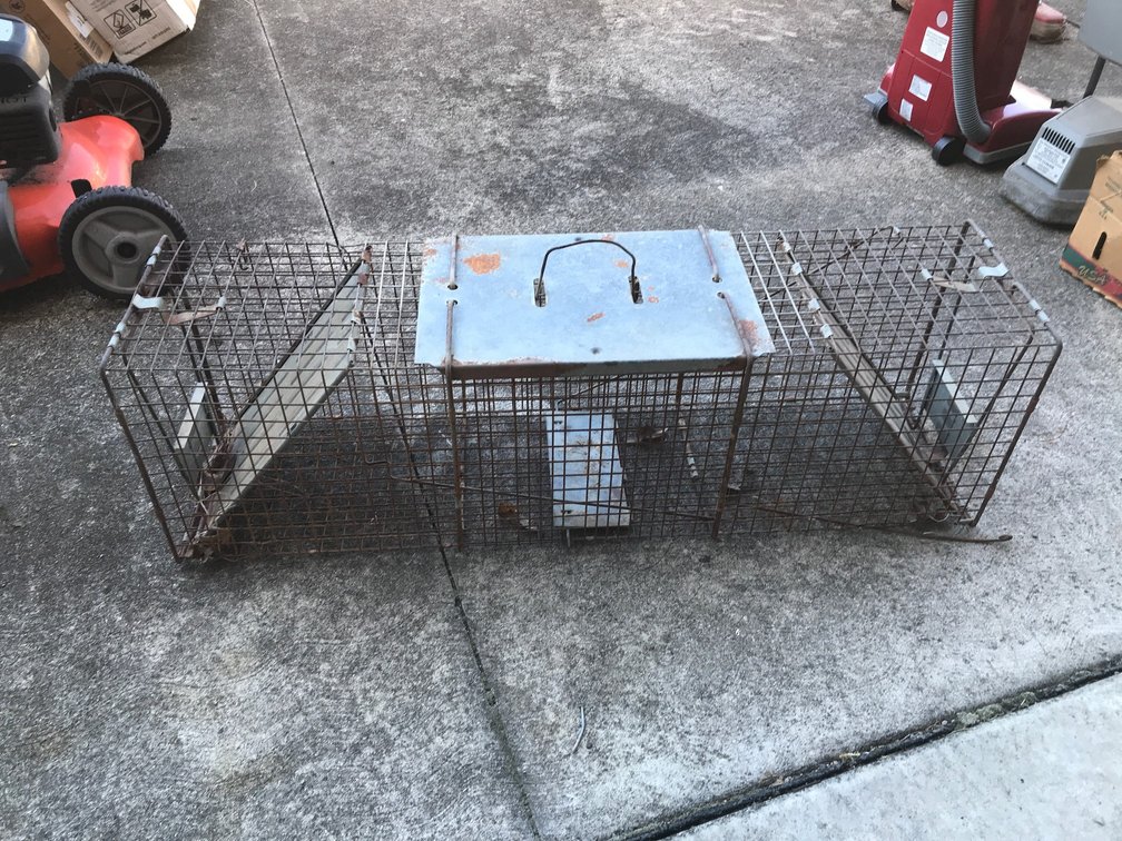 Large animal trap