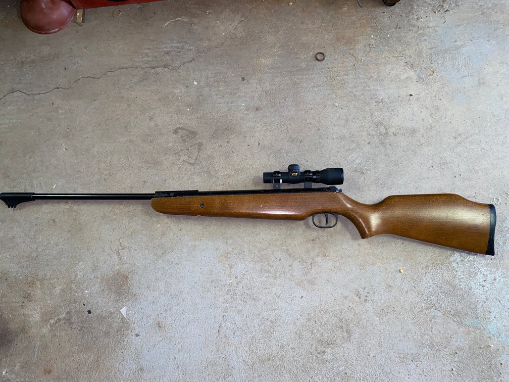 Ruger Air Rifle with Scope