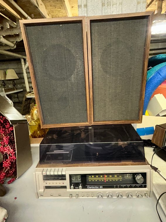 Clarinette 101 turntable with speakers