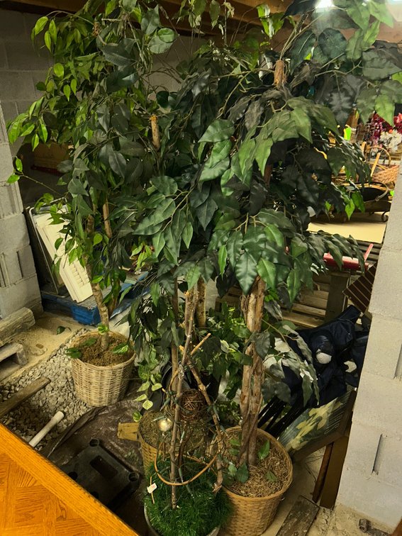 Several artificial indoor trees