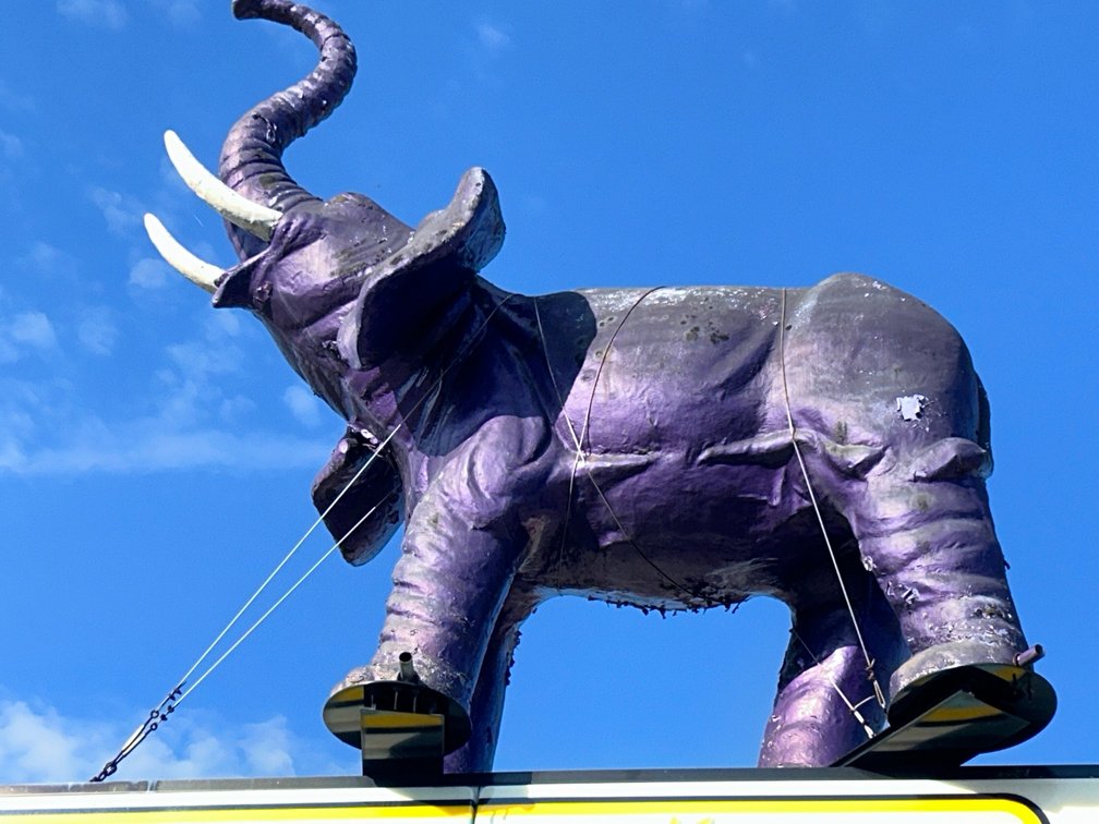 Chessie the Purple Elephant from Cheswick Pools and Patios
