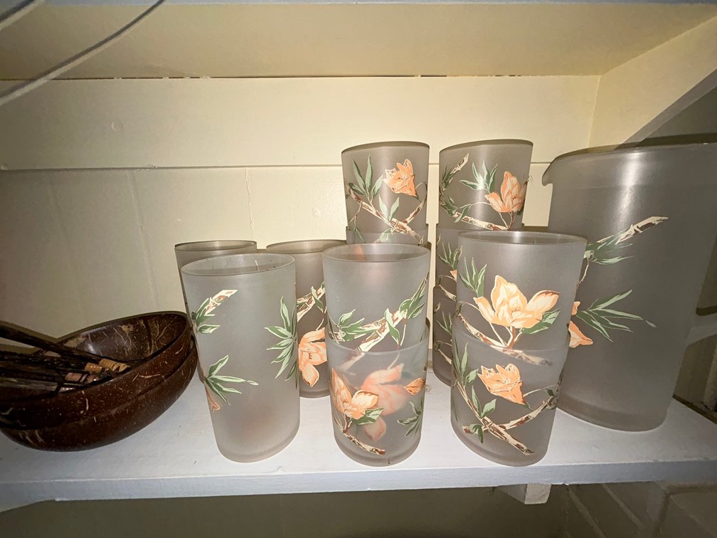 Patio dishes-Asli Arts Inc.-coconut fork and spoon set, 2 coconut bowls, bamboo floral cups, tumblers and pitchers