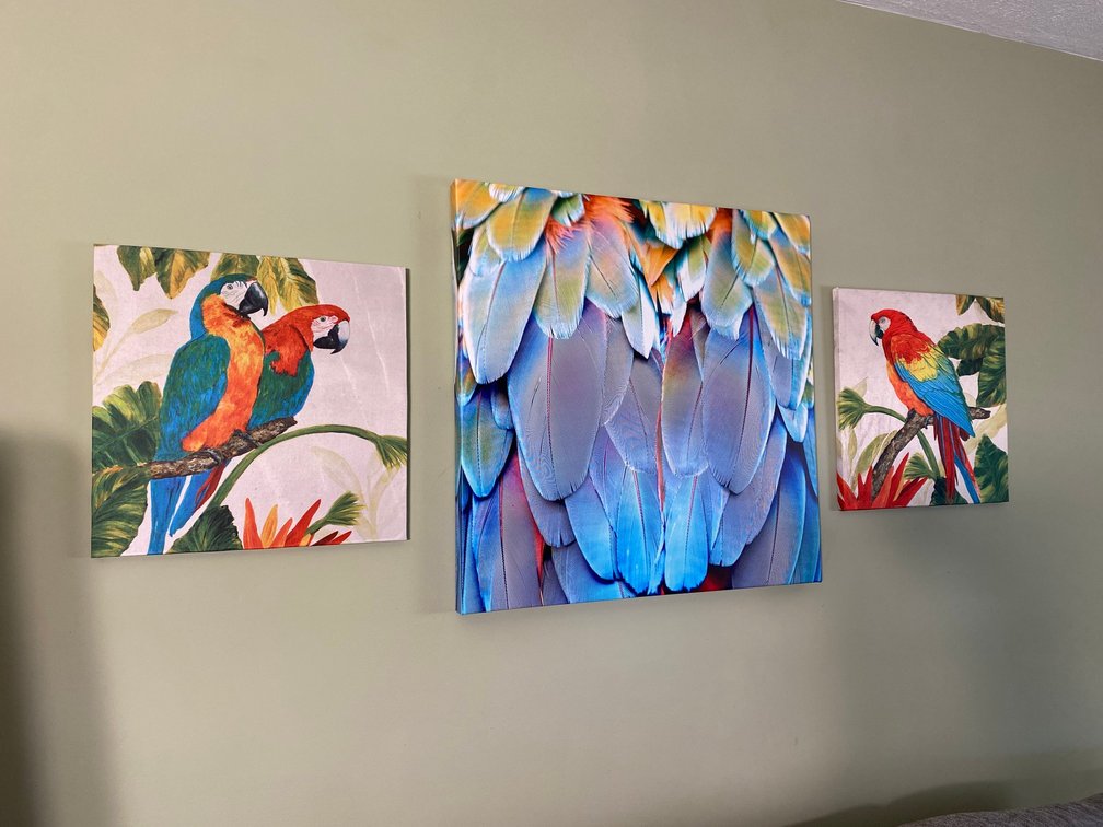 Canvas-style bird decorator items-smaller are 15" x 15"