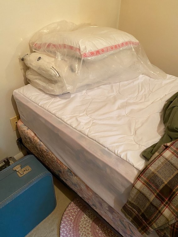 Single bed with frame-mattresses optional