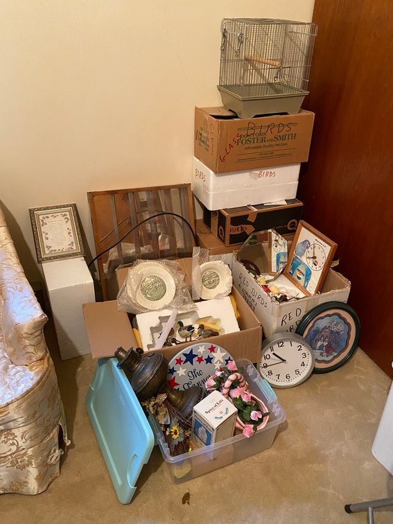 Assortment of decorator birds and ducks, bird cage, clock, decorator items-many still in boxes