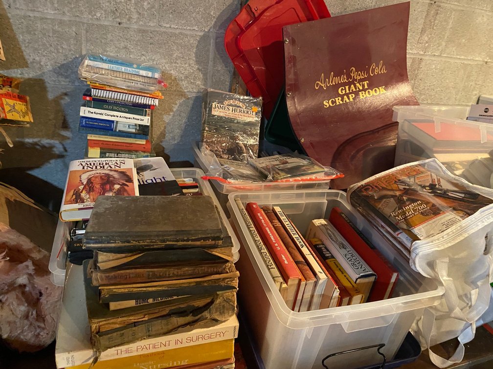 Large assortment of books-some in totes