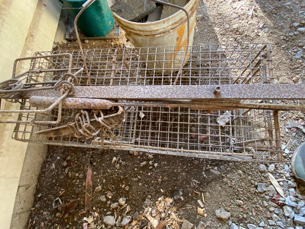 Box Trap & Conibear Trap