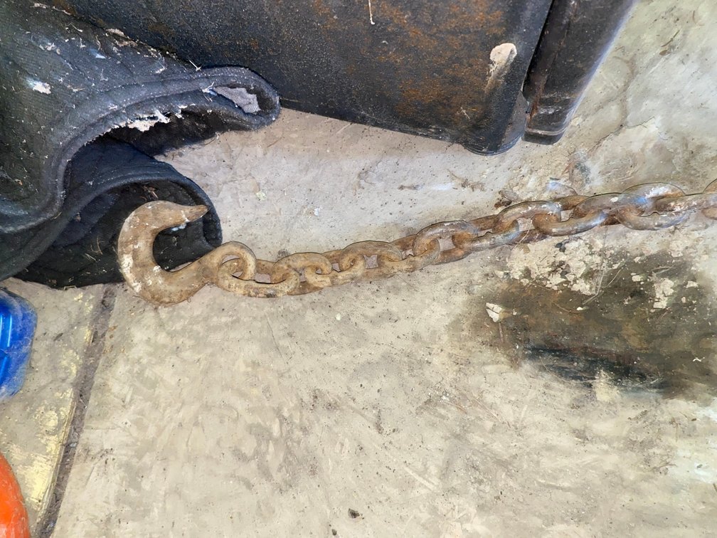 14 ft. Log Chain