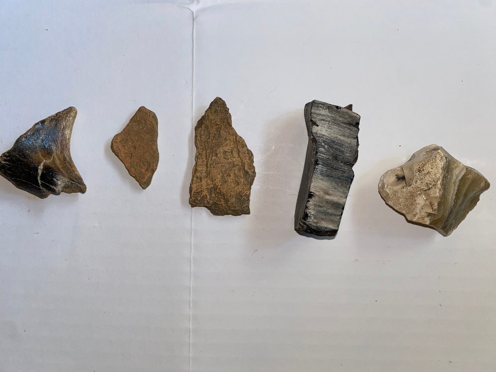 Original Indigenous Artifact(s)