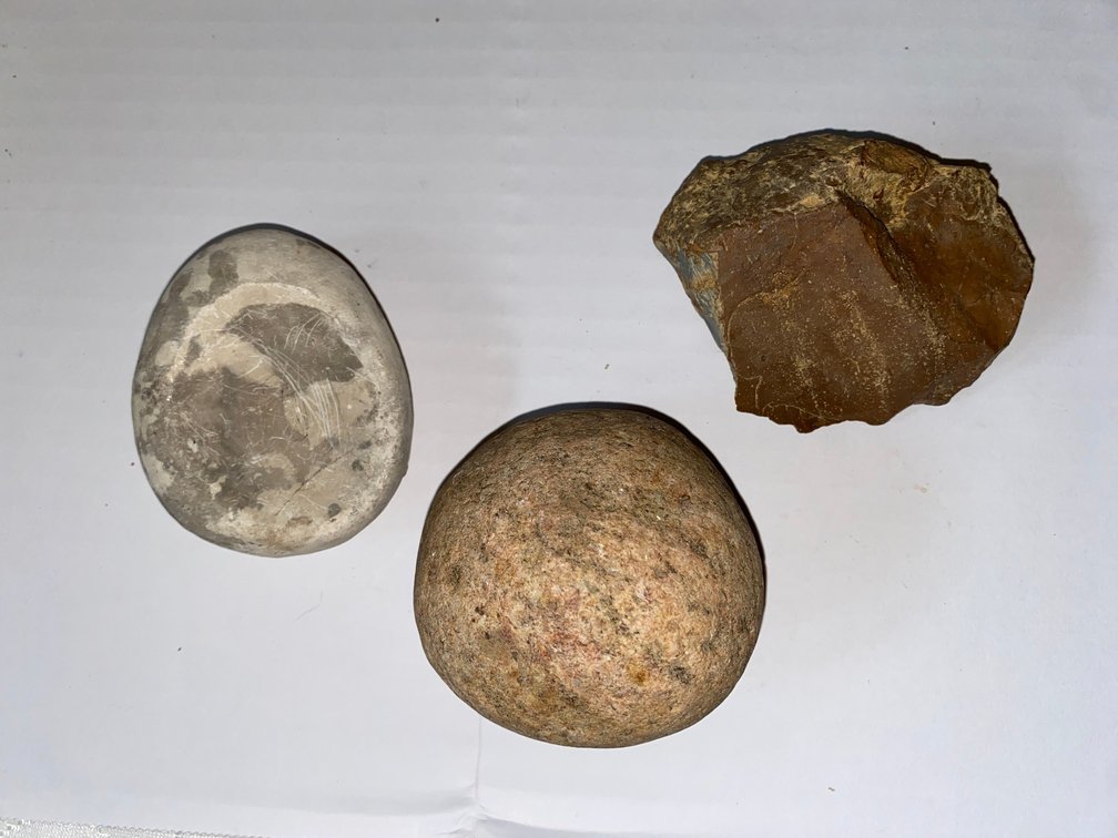 Flint & Fossil Stone