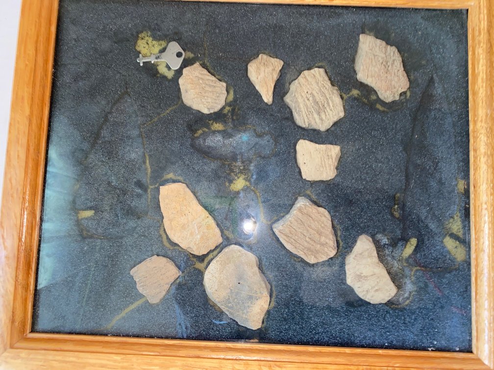 Fossils
