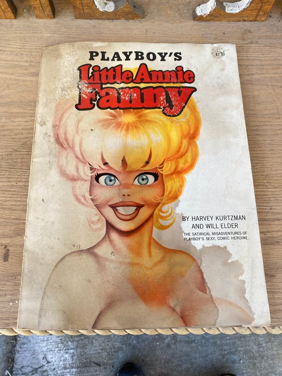 Playboy's Little Annie Fanny magazine