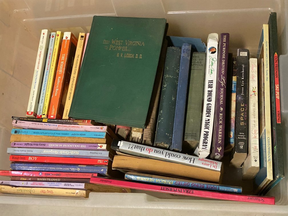 Vintage books-including From WV to Pompeii