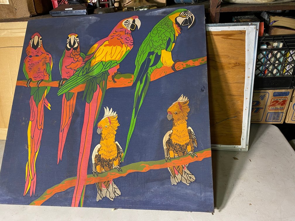 Large parrot wall hanging