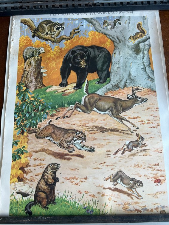 State of Pennsylvania wildlife prints collection