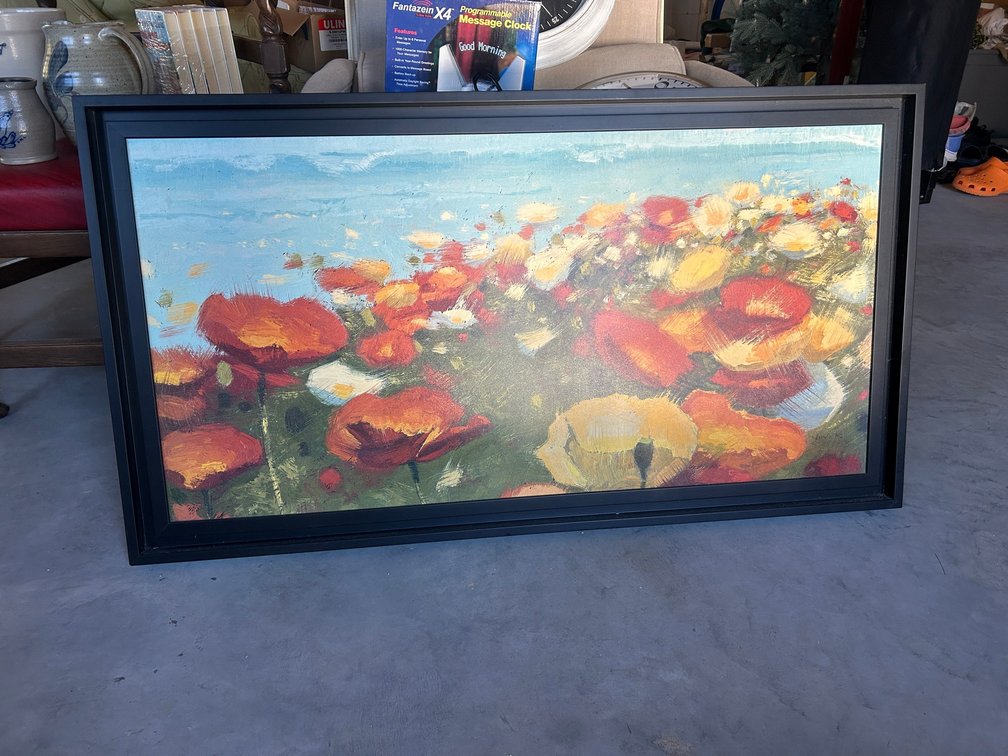 Framed Print of Poppies