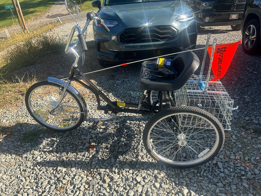 Electric bike