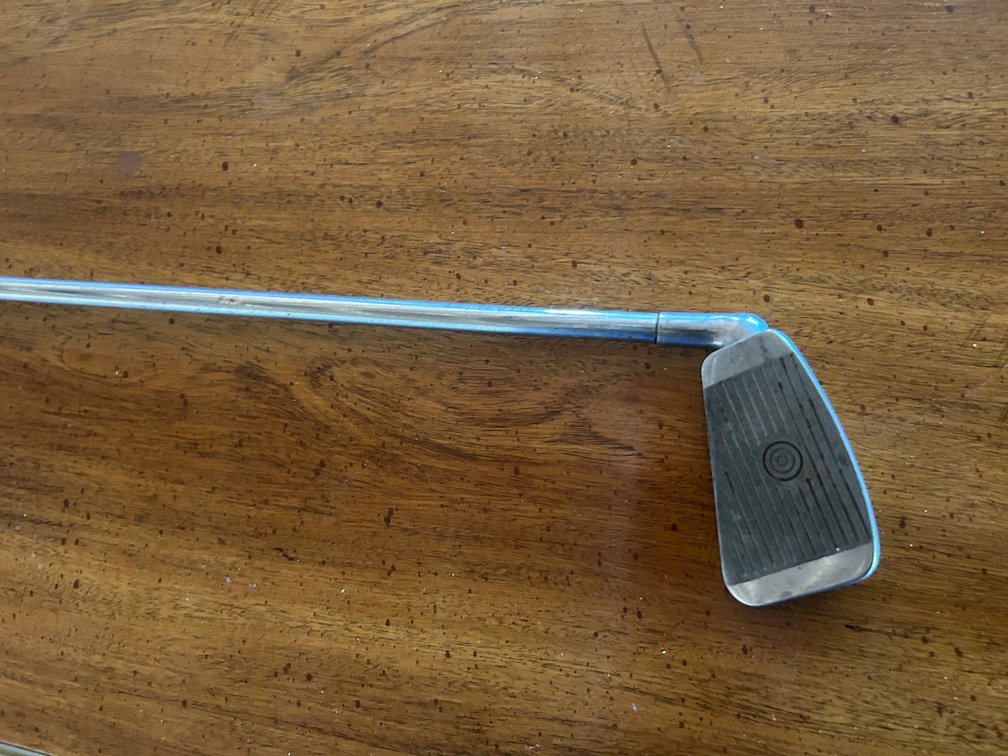 Single Golf club