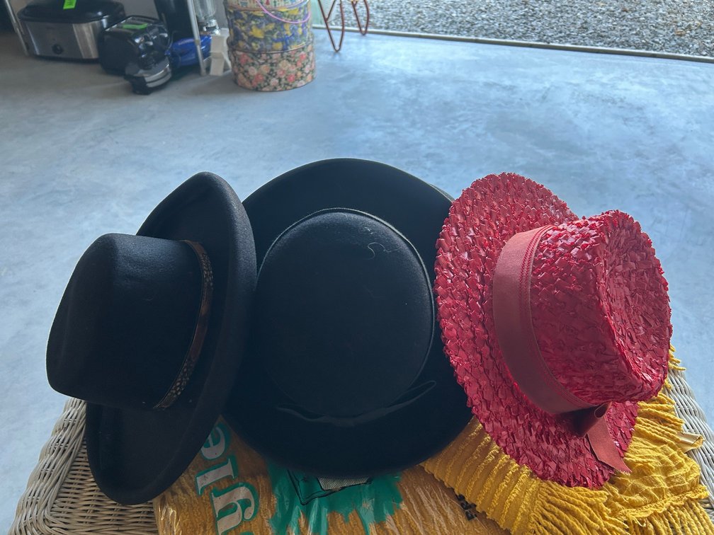 Ladies Felt and straw Hats
