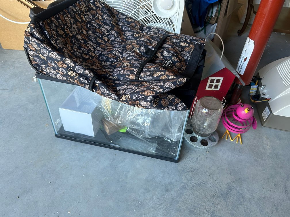 Bird Feeder, Ladies Travel Bag, Aquarium, Box Fan