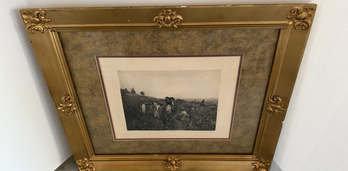 Harvest Prints