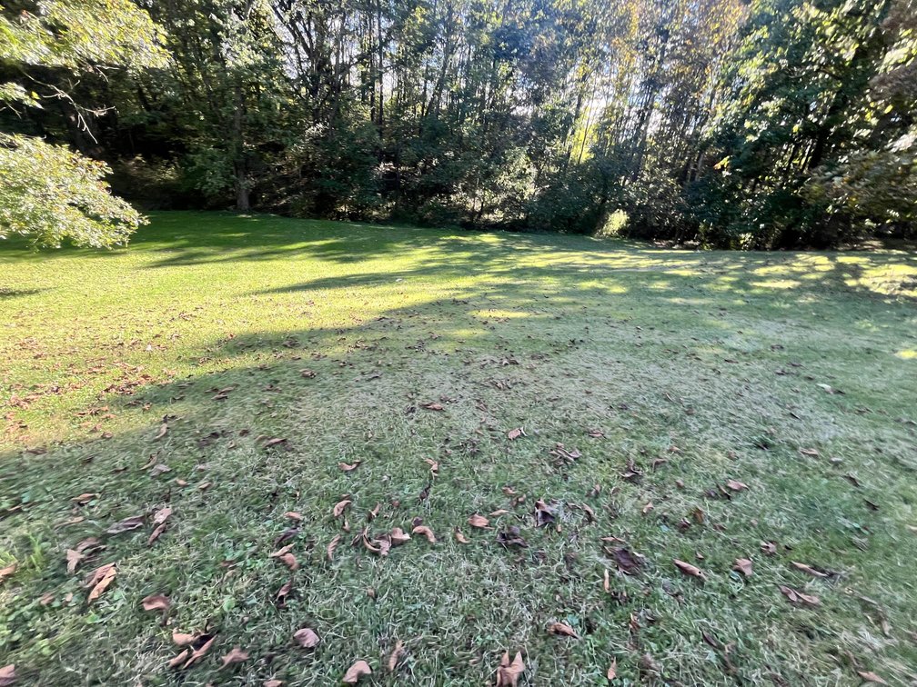 Image for Ranch Home on 1.38 Acres in Wood County