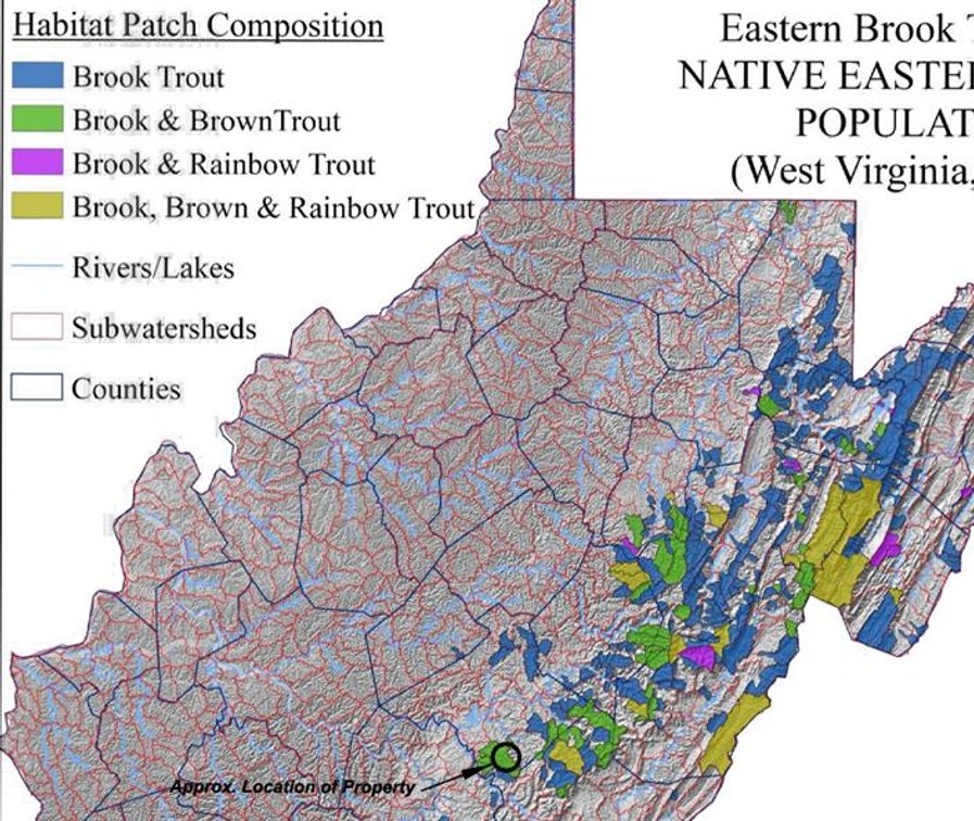 Image for Beautiful 50 Fee Acres with 600’ of Native Trout Stream