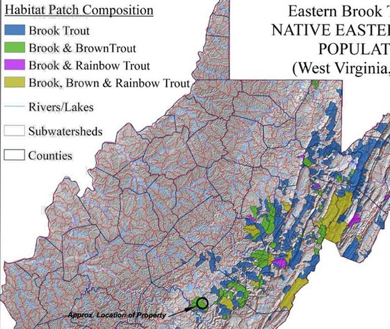 Image for Beautiful 50 Fee Acres with 600’ of Native Trout Stream