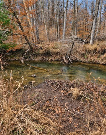 Image for Beautiful 50 Fee Acres with 600’ of Native Trout Stream