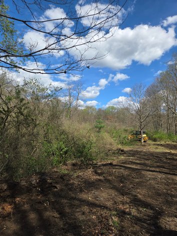 Image for Beautiful 50 Fee Acres with 600’ of Native Trout Stream