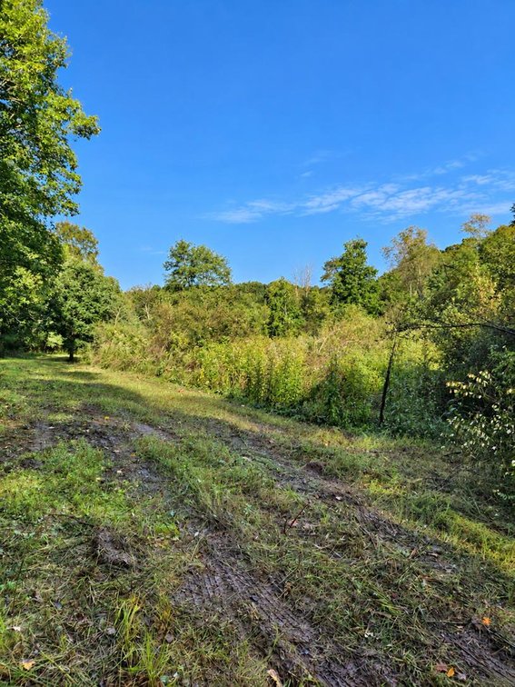 Image for Beautiful 50 Fee Acres with 600’ of Native Trout Stream