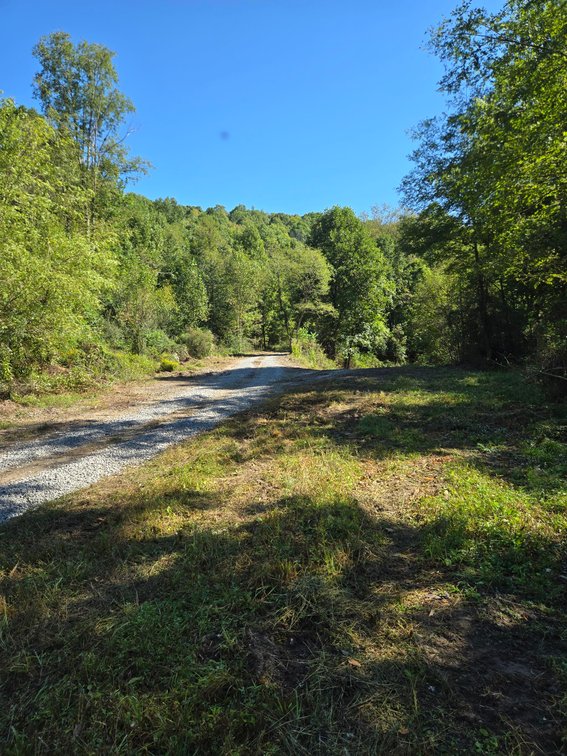 Image for Beautiful 50 Fee Acres with 600’ of Native Trout Stream