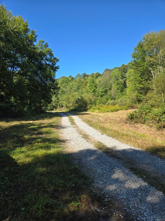 Image for Beautiful 50 Fee Acres with 600’ of Native Trout Stream