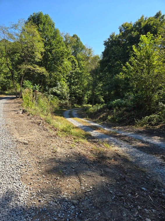 Image for Beautiful 50 Fee Acres with 600’ of Native Trout Stream