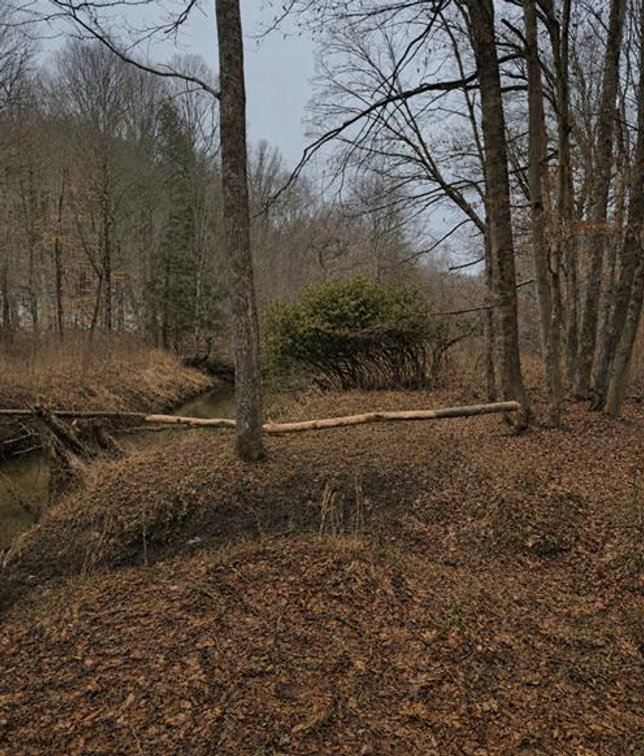 Image for Beautiful 50 Fee Acres with 600’ of Native Trout Stream