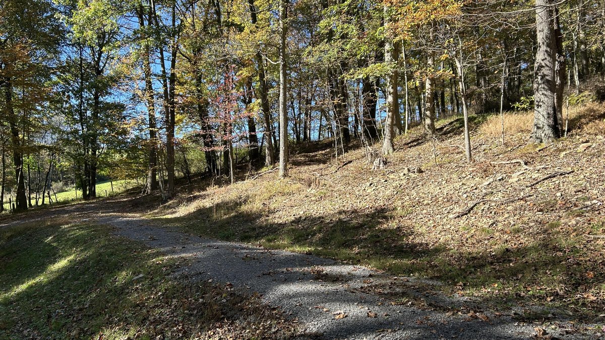 Image for Secluded Cabin Retreat on 0.78 Acres in Preston County
