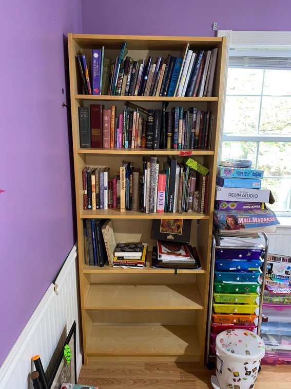 Bookcase with Books