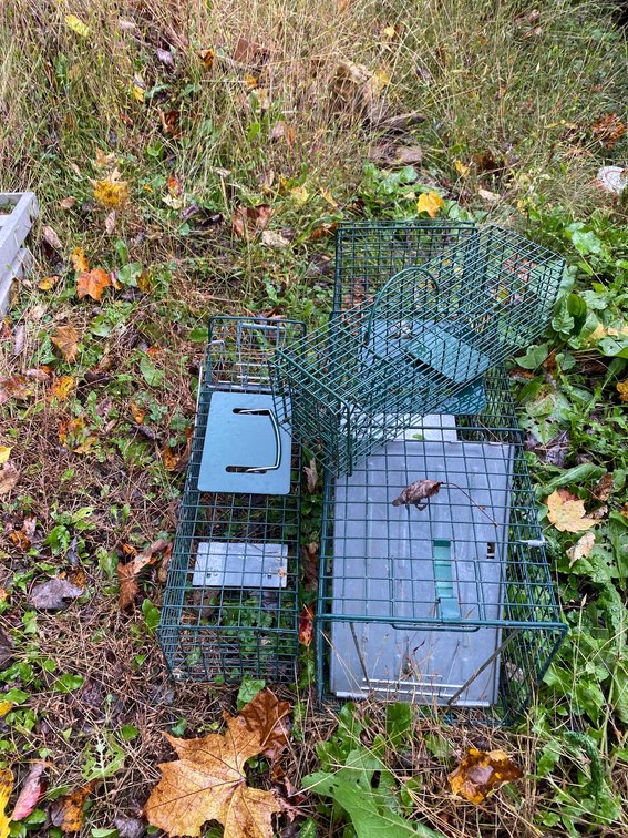 3-Animal Cages