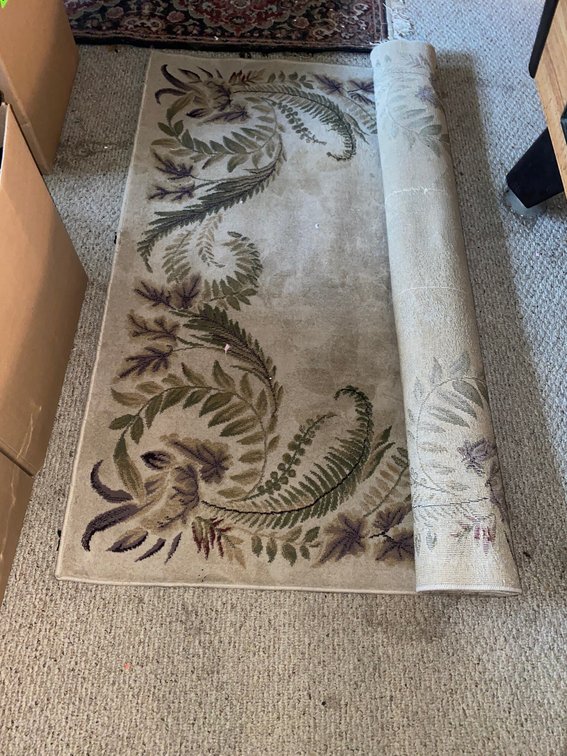 5x7 Area Rug
