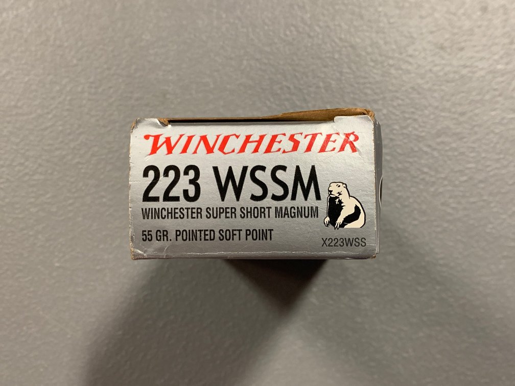 [2121]  Ammo Lot: .223 WSSM